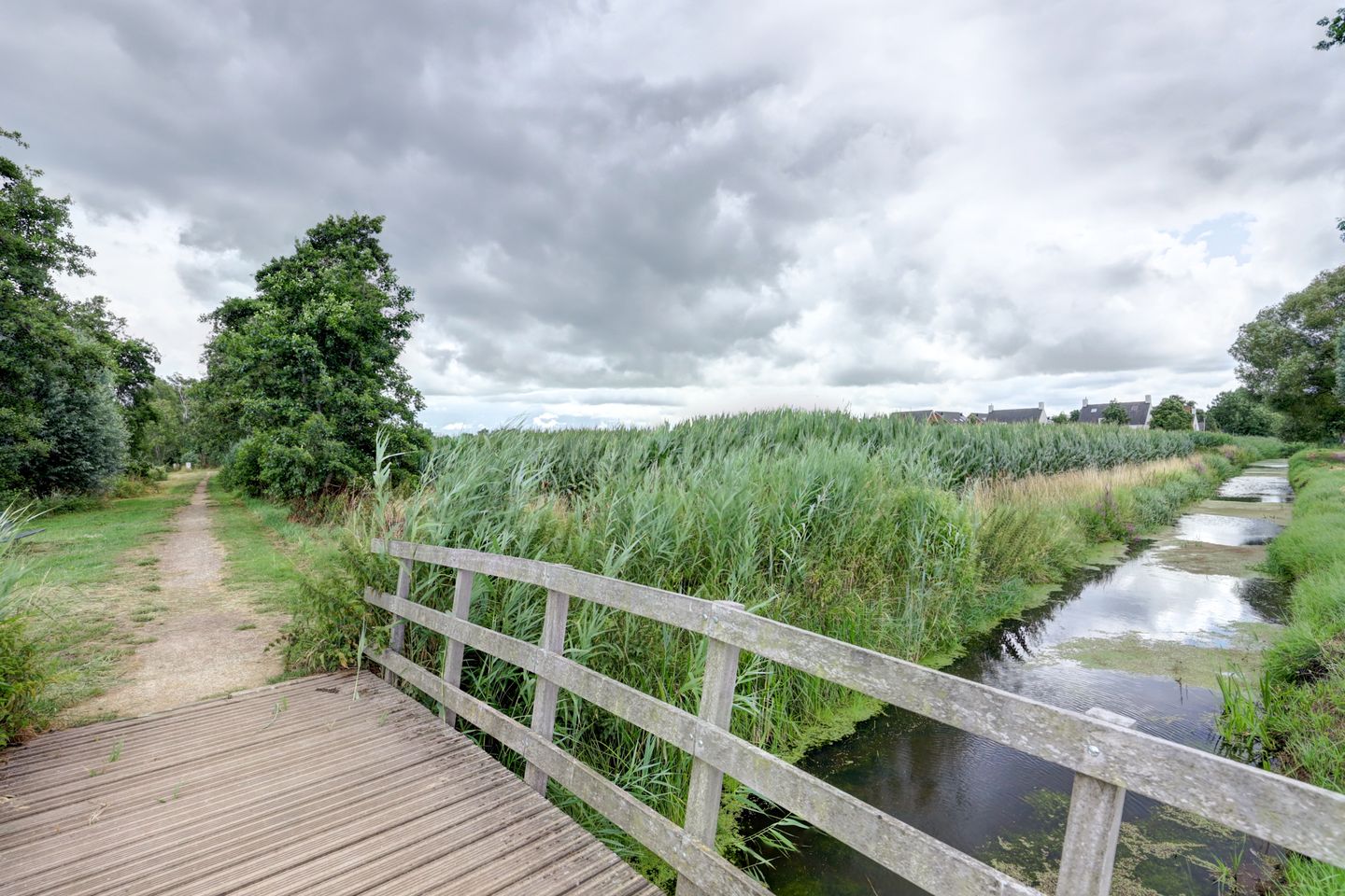 Foto 4 van Lange Veertel 75