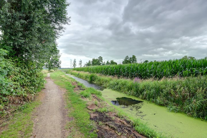 Foto 50 van Lange Veertel 75
