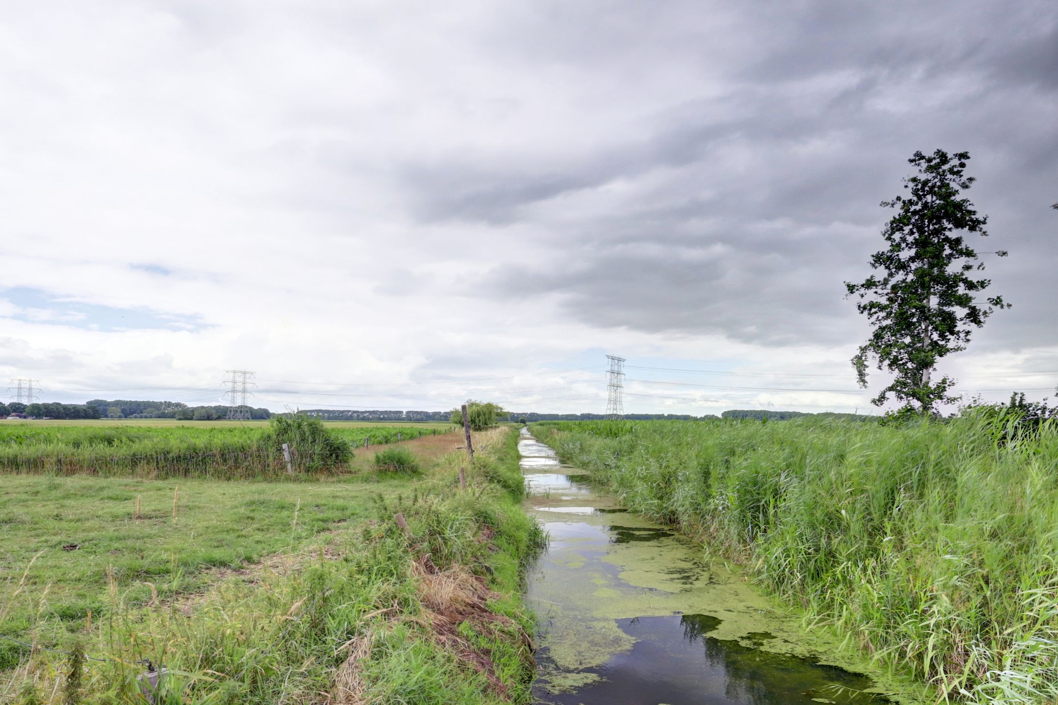 Foto 51 van Lange Veertel 75