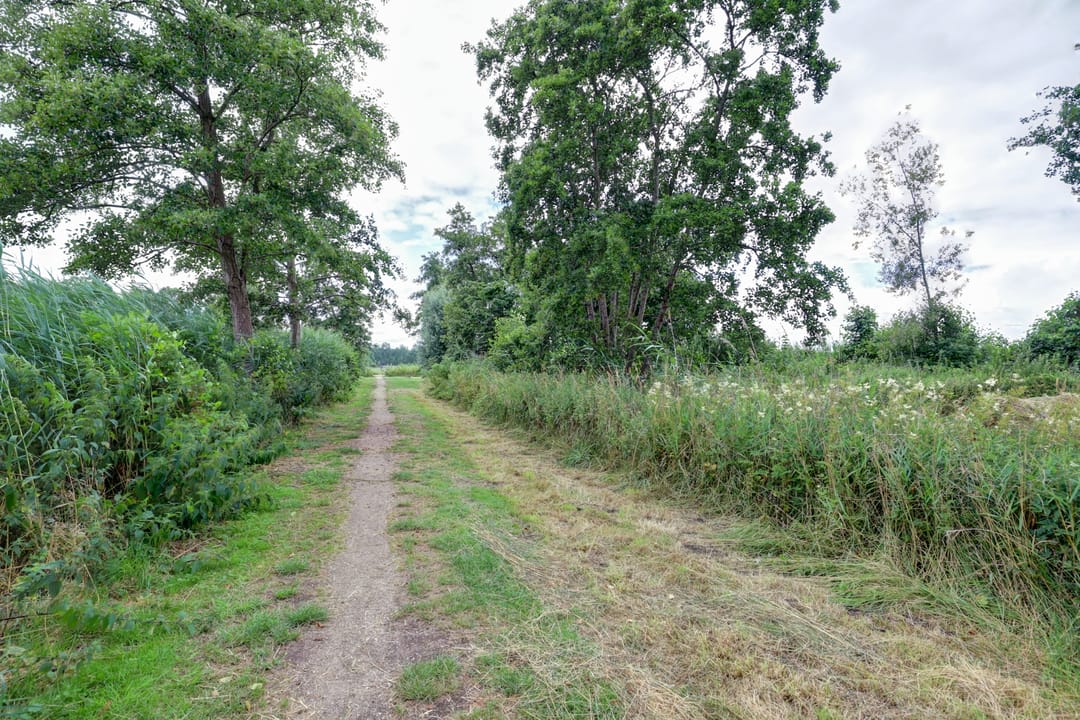 Foto 52 van Lange Veertel 75