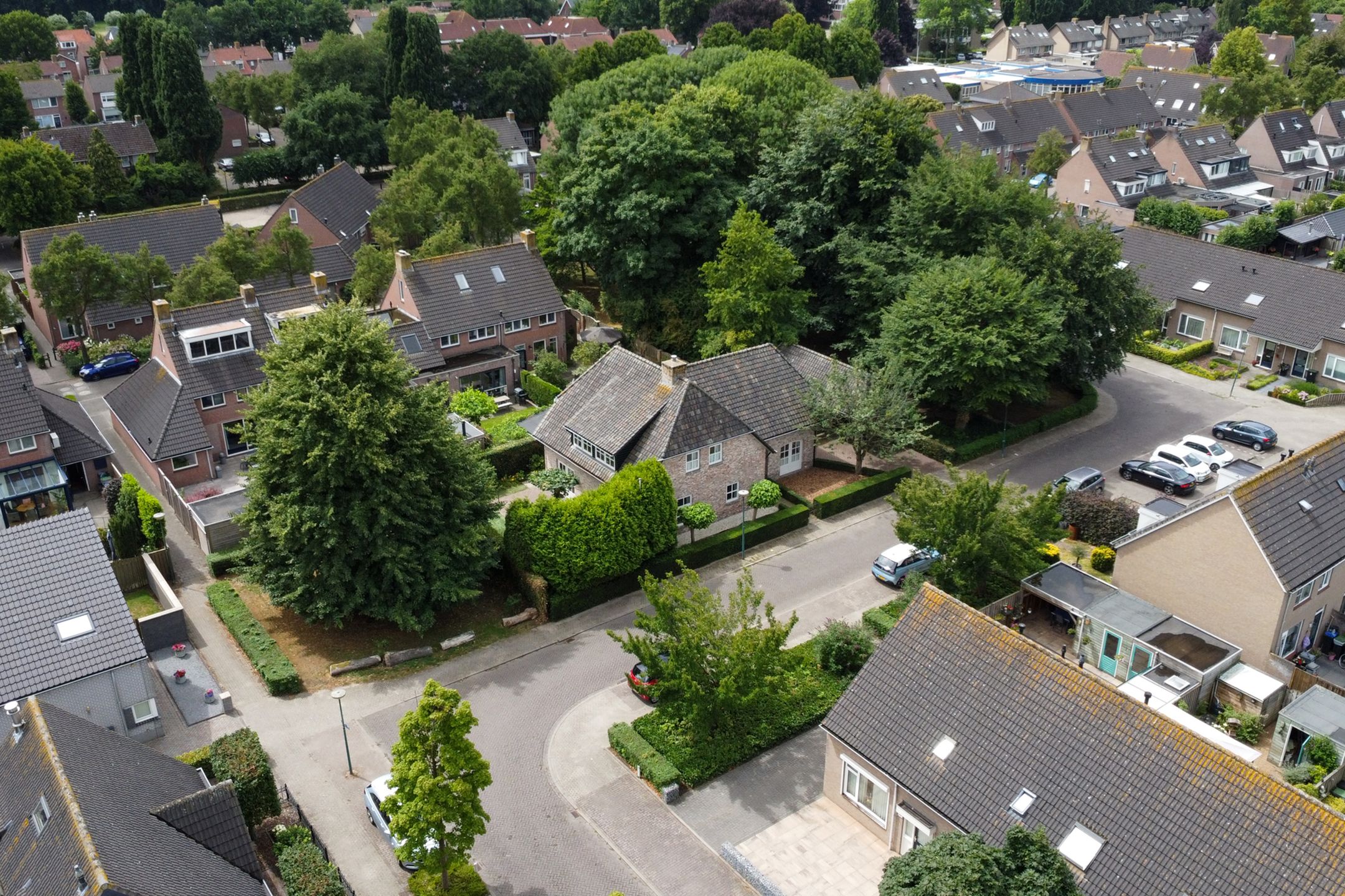 Foto 54 van Lange Veertel 75