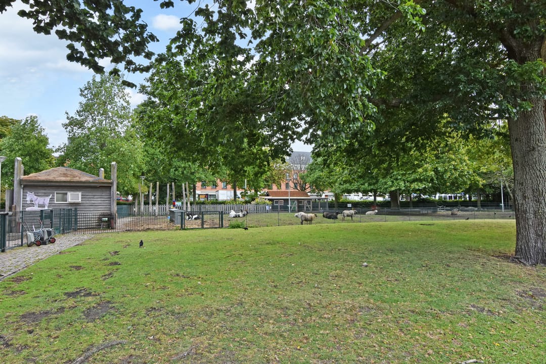 Foto 31 van Paul Krugerlaan 293