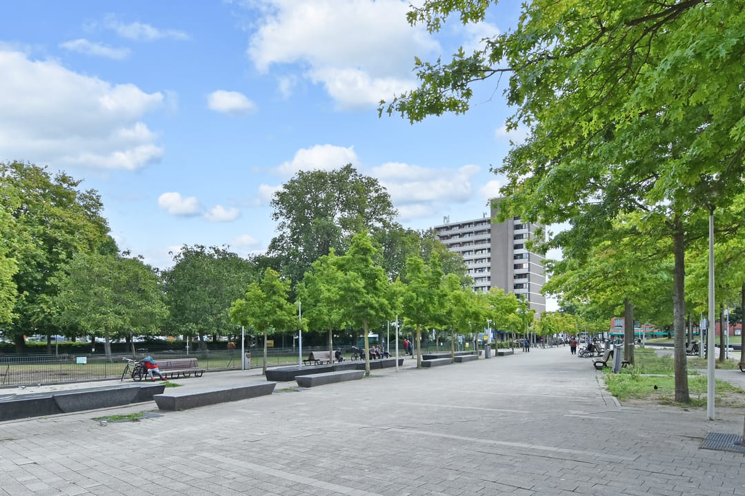 Foto 32 van Paul Krugerlaan 293