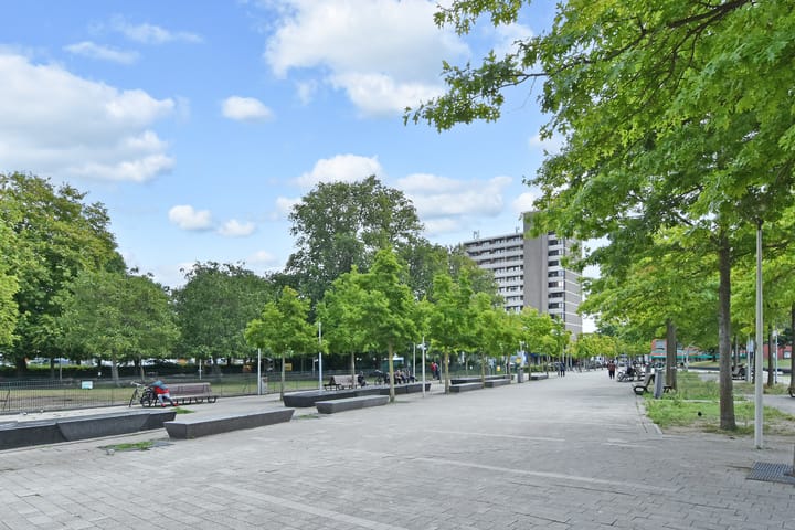 Photo 32 of Paul Krugerlaan 293