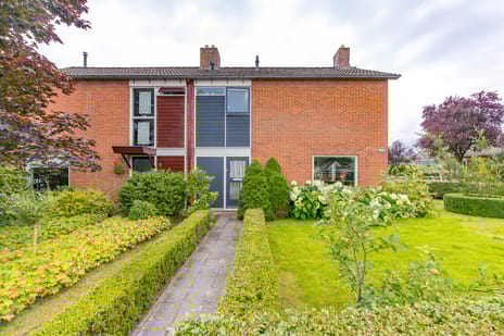 undefined main image