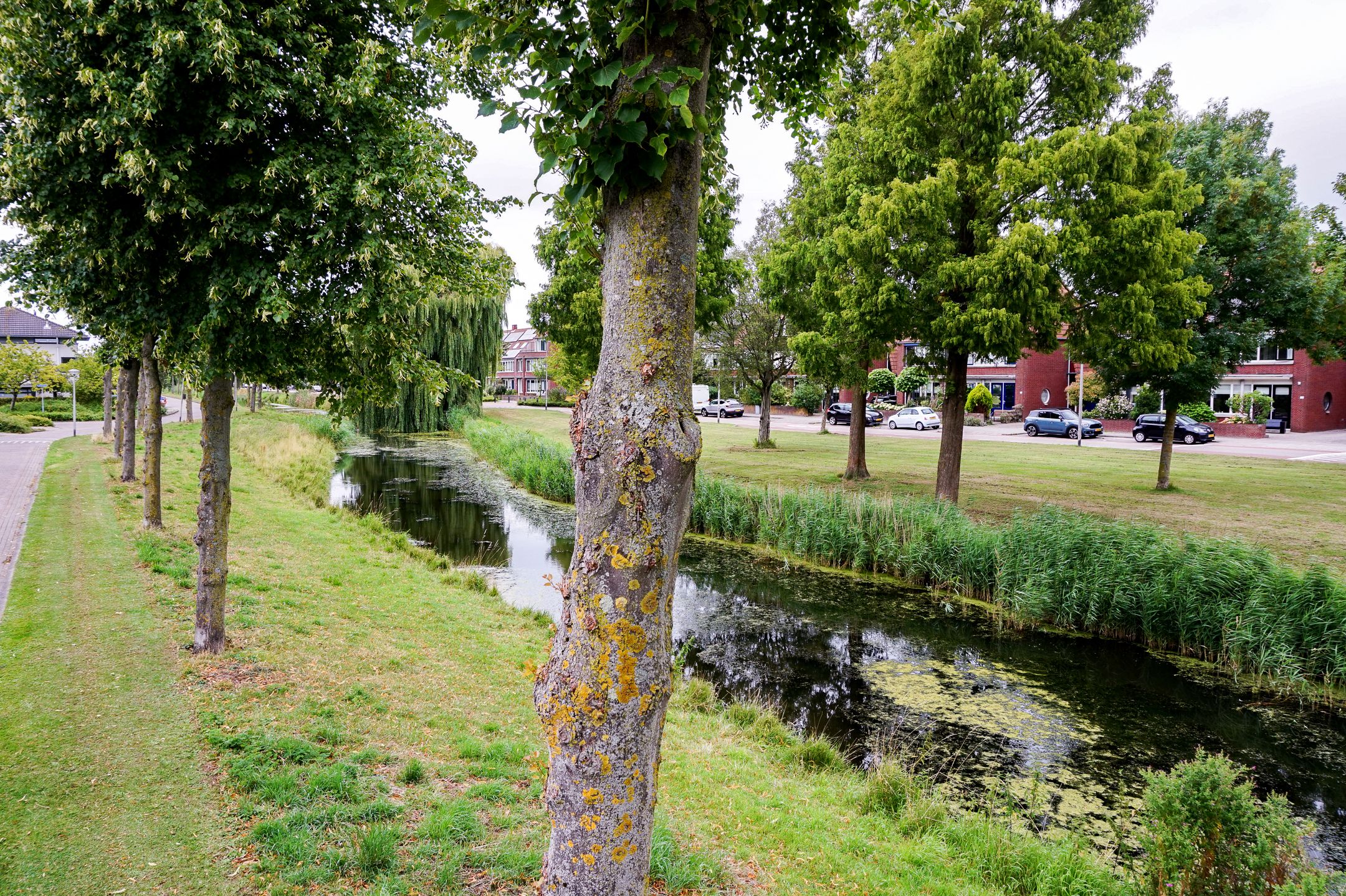 Foto 36 van Varenkade 37