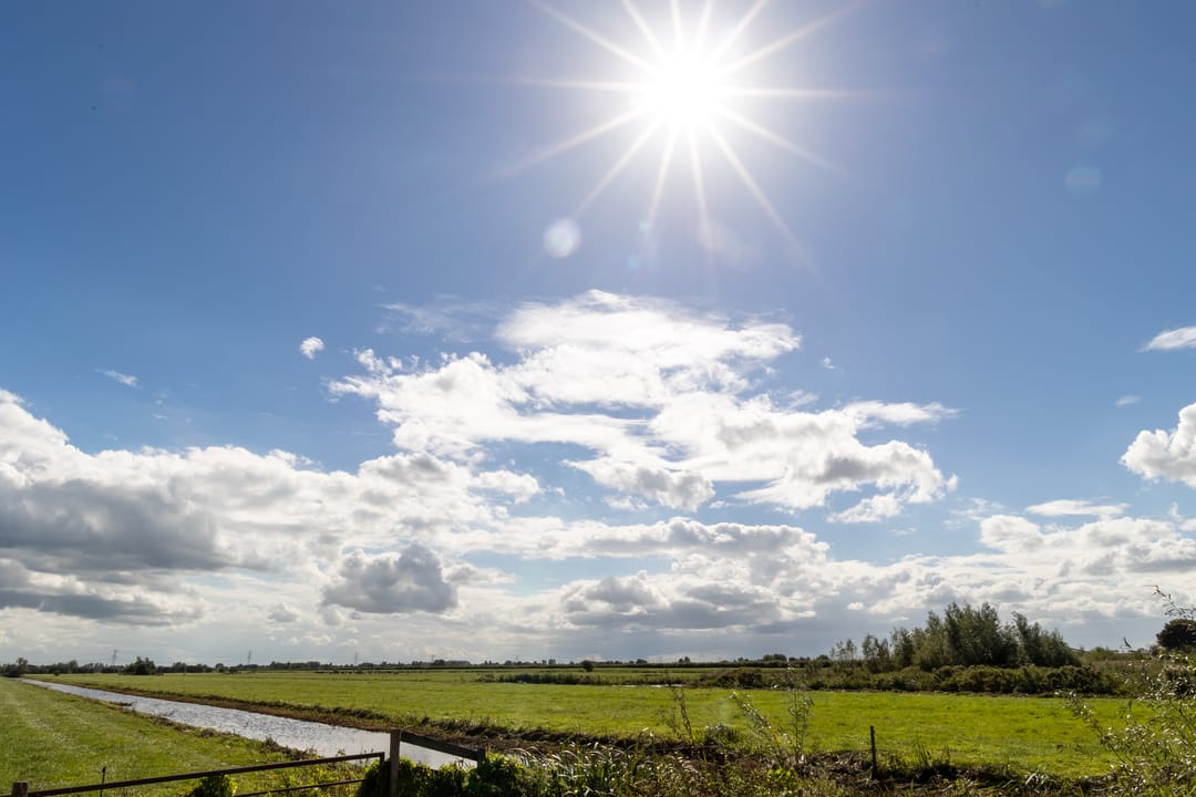 Foto 11 van Elzenuil 11