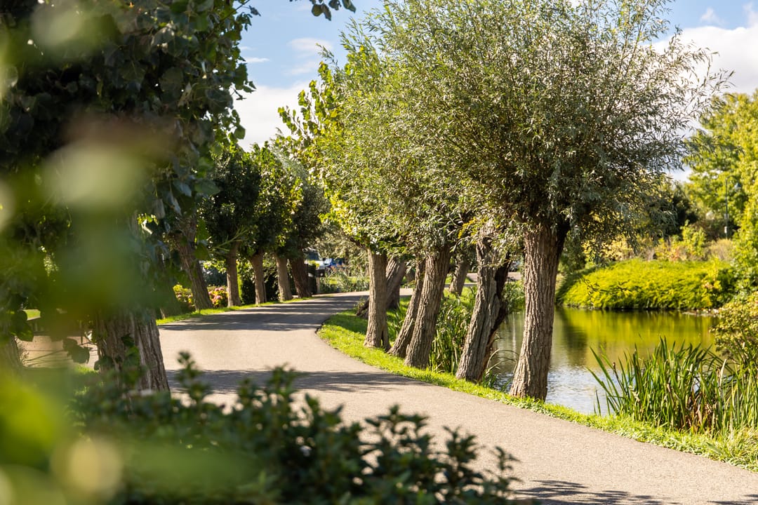 Foto 13 van Elzenuil 11