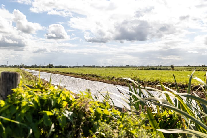 Foto 12 van Elzenuil 14