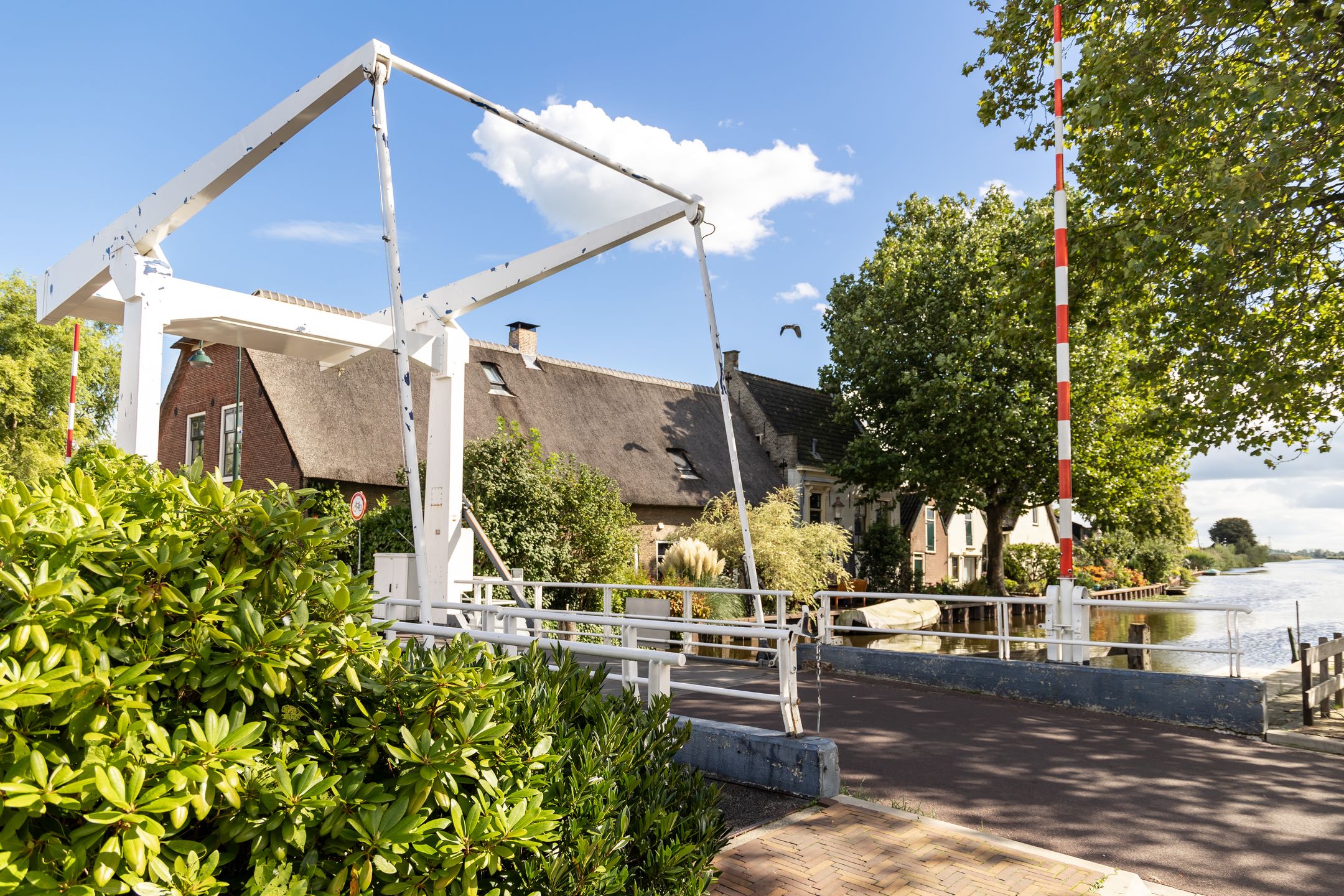 Photo 15 of Elzenuil 14