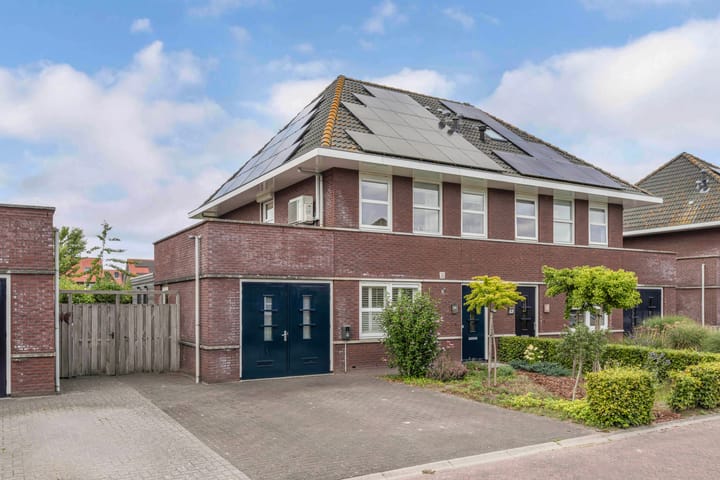 Photo 4 of Aurelia 6