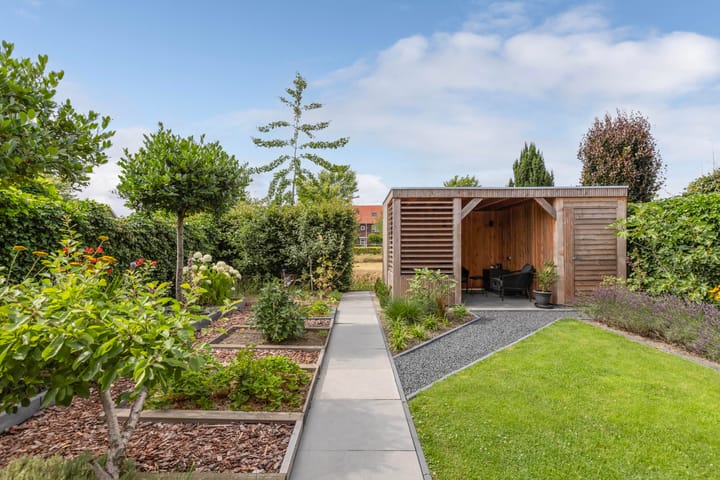 Photo 36 of Aurelia 6