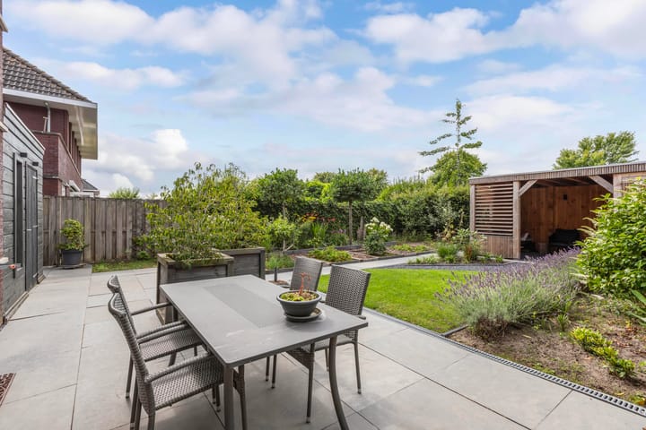 Photo 37 of Aurelia 6