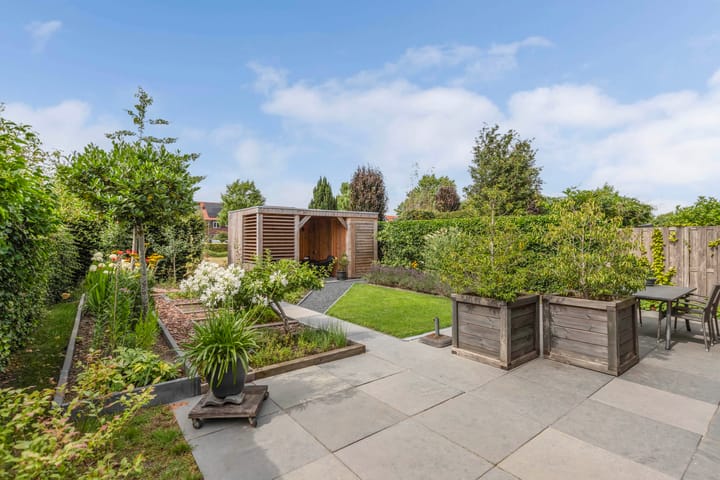 Photo 38 of Aurelia 6