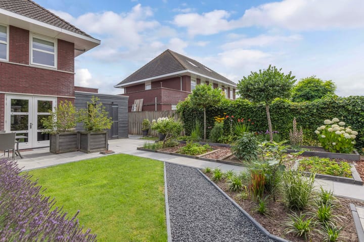 Photo 41 of Aurelia 6