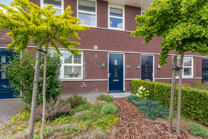 Photo 61 of Aurelia 6