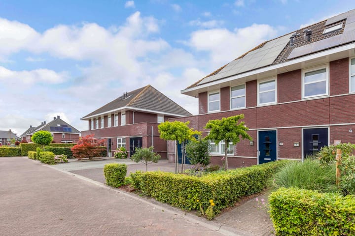 Photo 63 of Aurelia 6