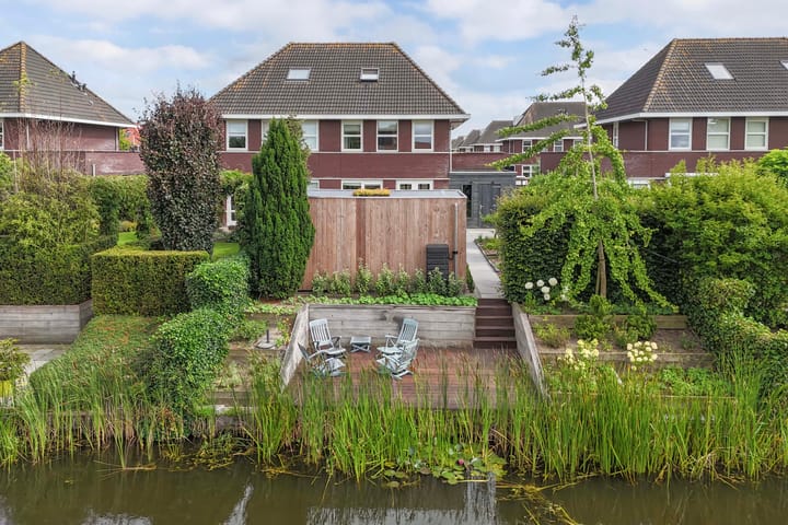 Photo 50 of Aurelia 6