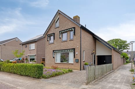 undefined main image