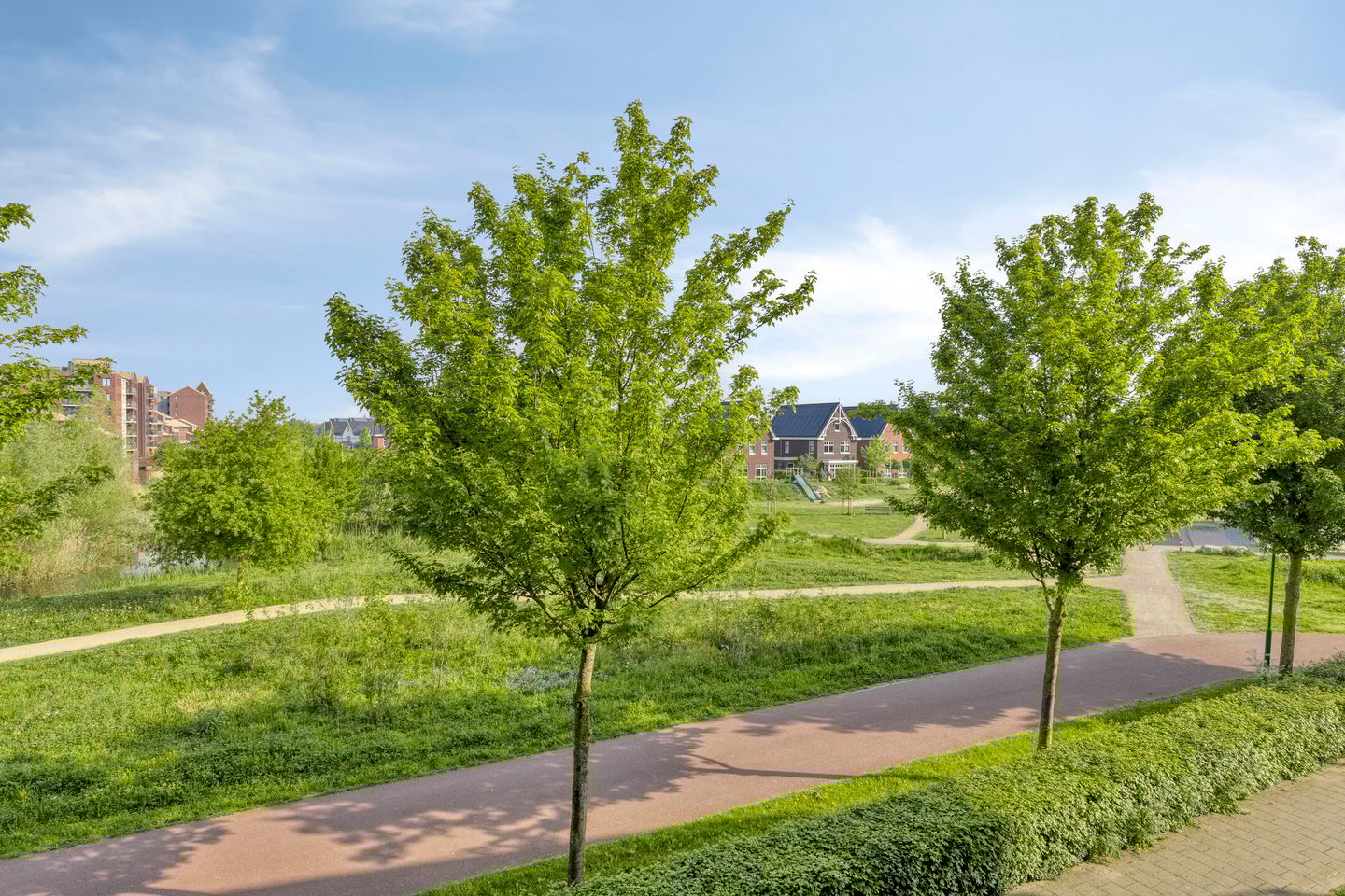 Photo 10 of Parelgras 94