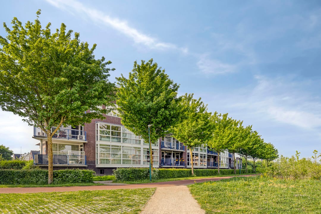 Photo 1 of Parelgras 94