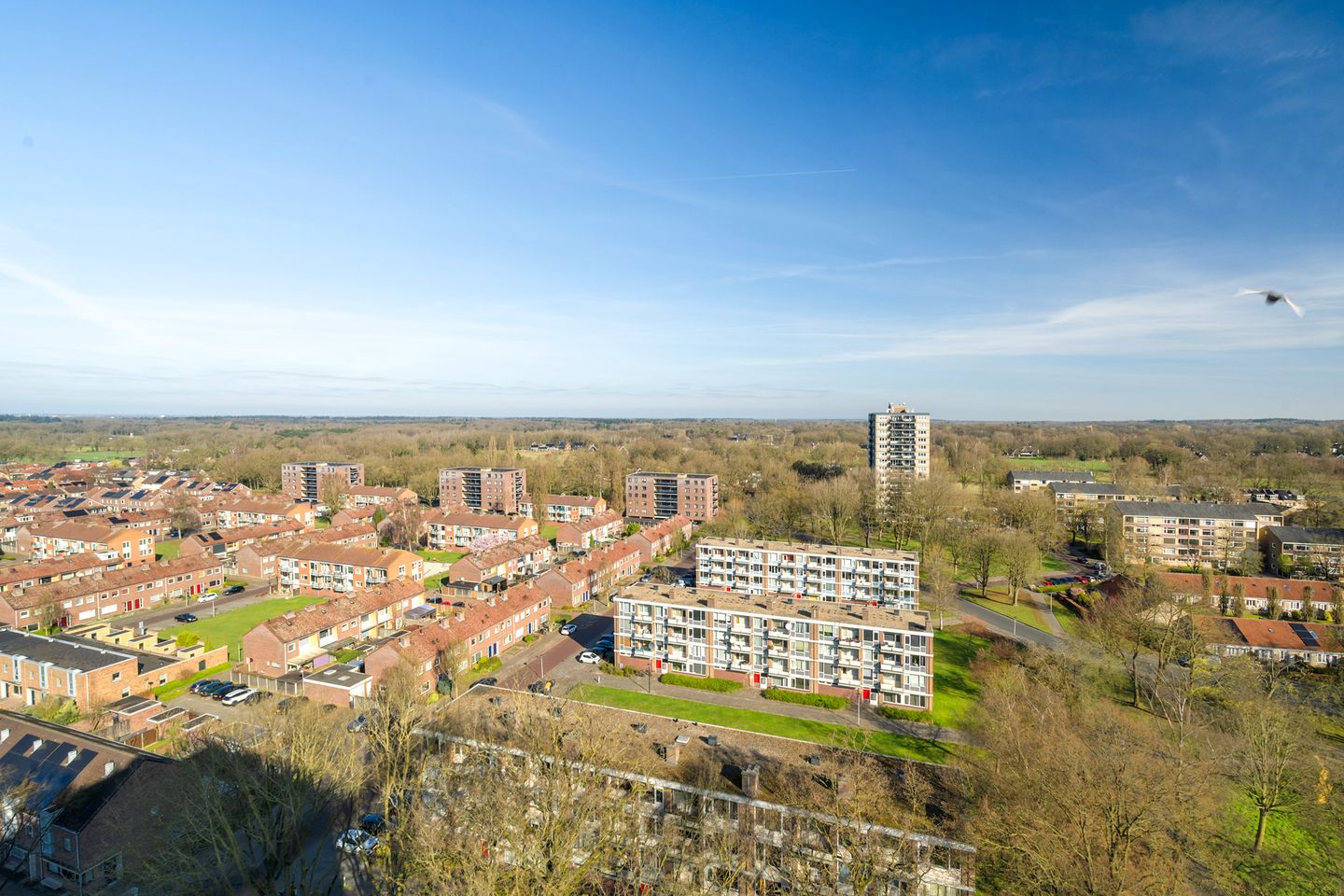 Foto 10 van Jekerstraat 266