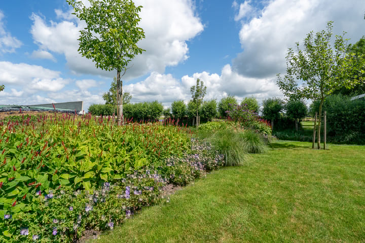 Foto 98 van Oostmijzerdijk 7