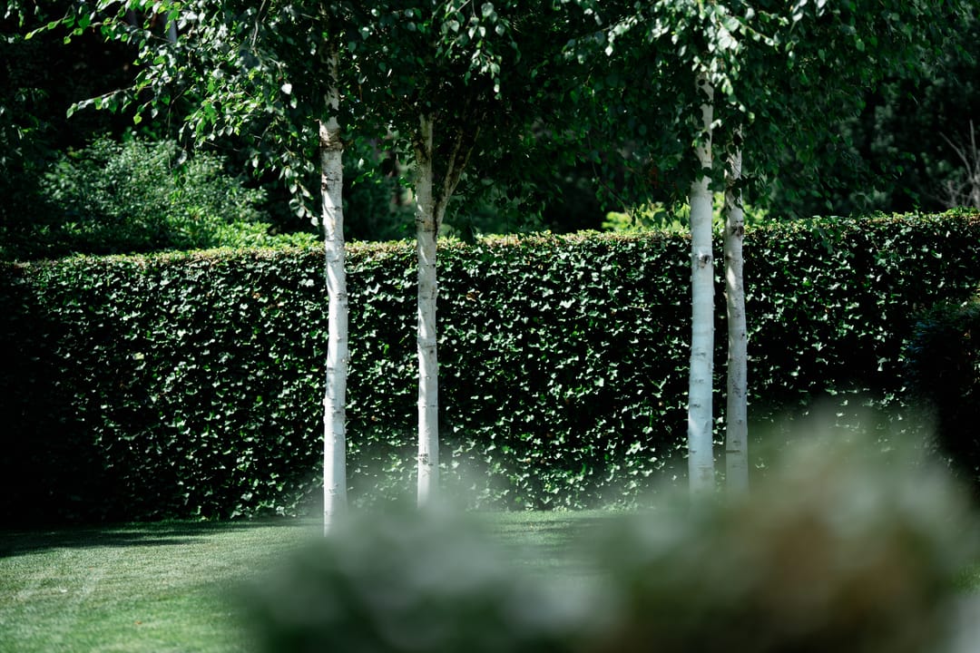 Foto 38 van Smaragddijk 71