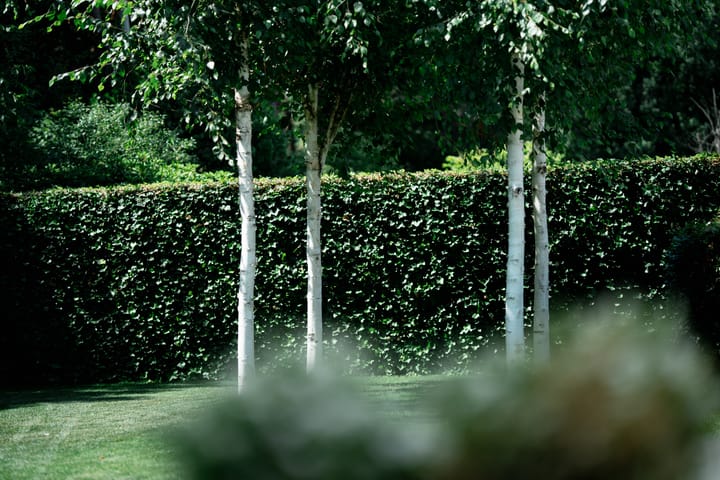 Photo 38 of Smaragddijk 71