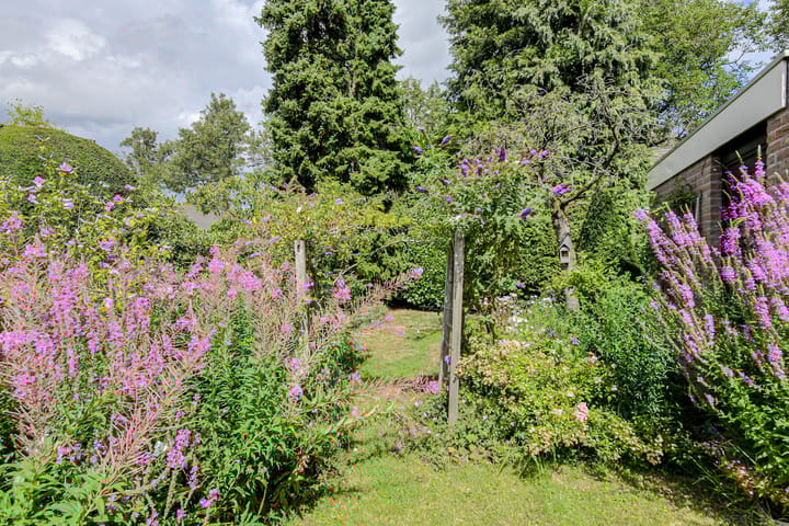 Photo 58 of Vorselaar 4