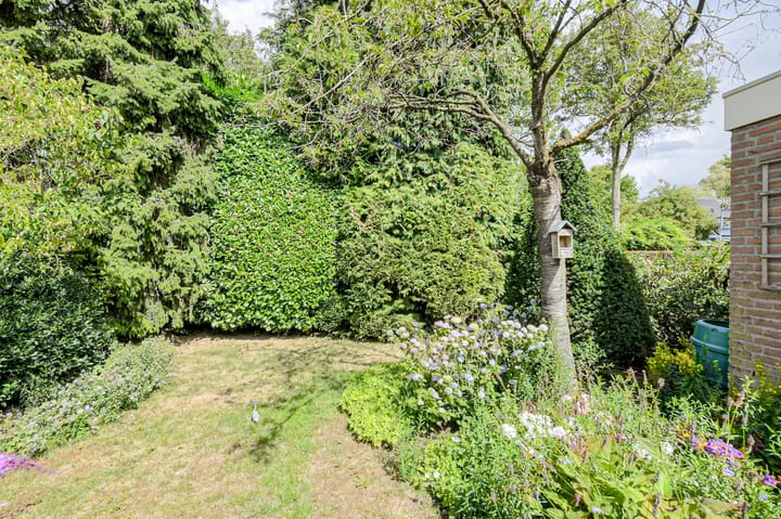 Photo 59 of Vorselaar 4