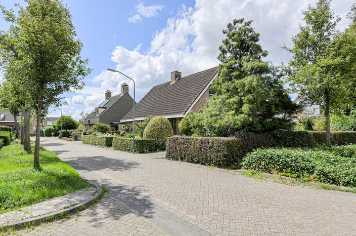 Photo 62 of Vorselaar 4