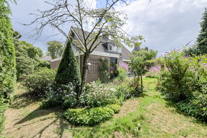 Photo 60 of Vorselaar 4