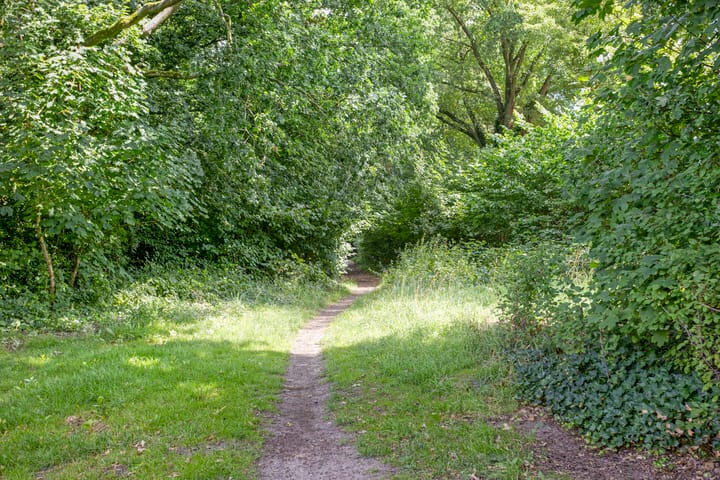 Foto 31 van Braamkamp 11