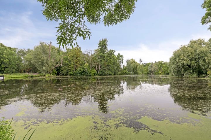 Photo 30 of Louise de Colignylaan 25