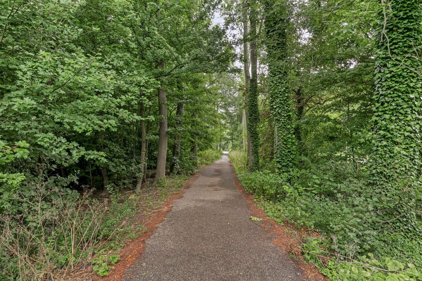 Foto 34 van Louise de Colignylaan 25