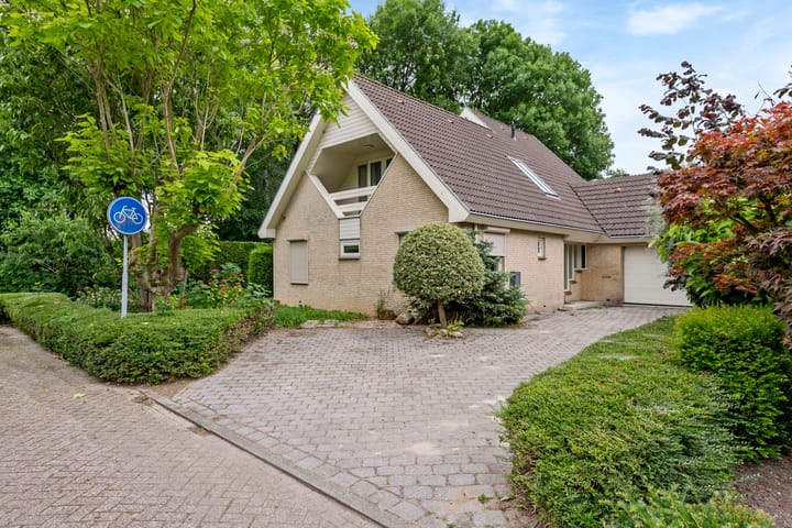 Foto 1 van Hanzehof 16