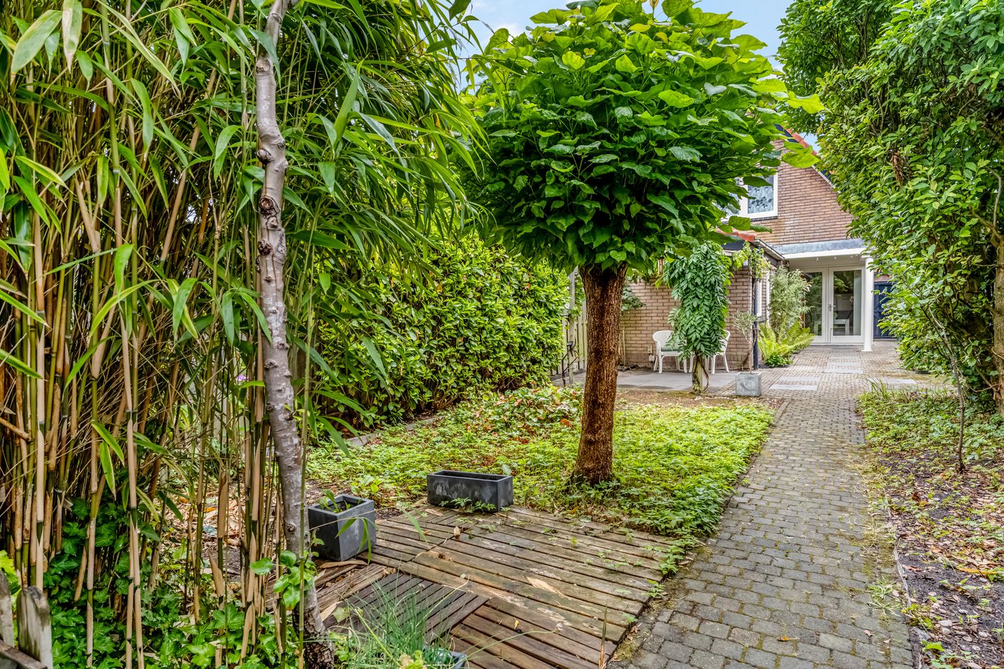 Foto 44 van De Savornin Lohmanstraat 136