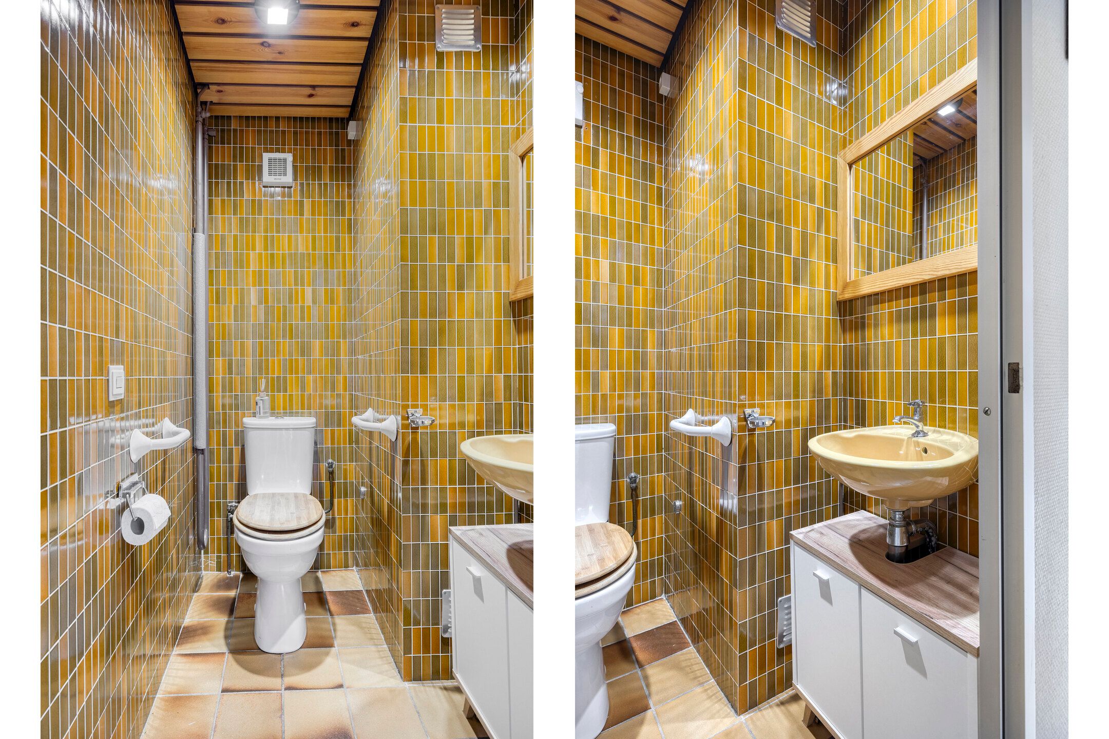 Foto 12 van Waterhoenhof 38