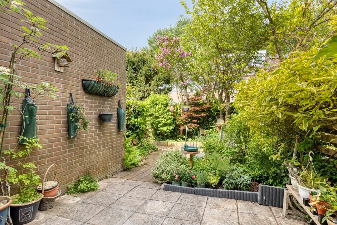 Foto 32 van Waterhoenhof 38