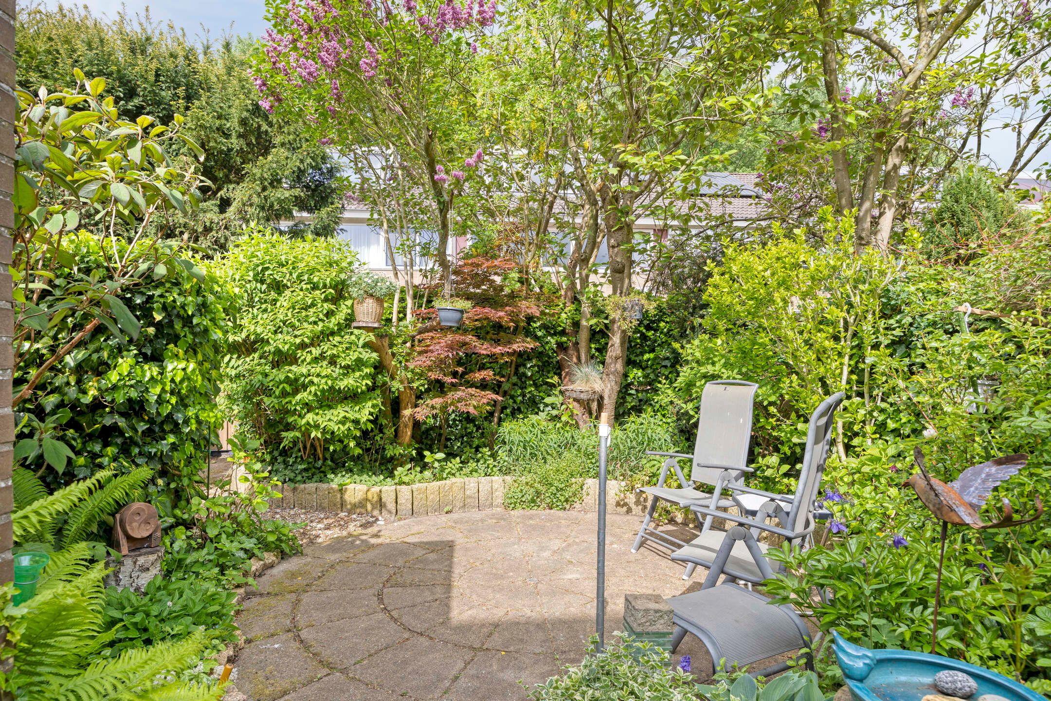 Foto 33 van Waterhoenhof 38