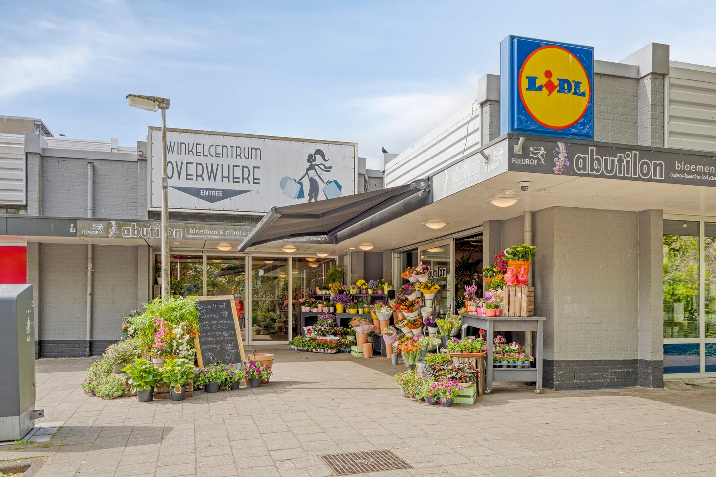 Foto 40 van Waterhoenhof 38