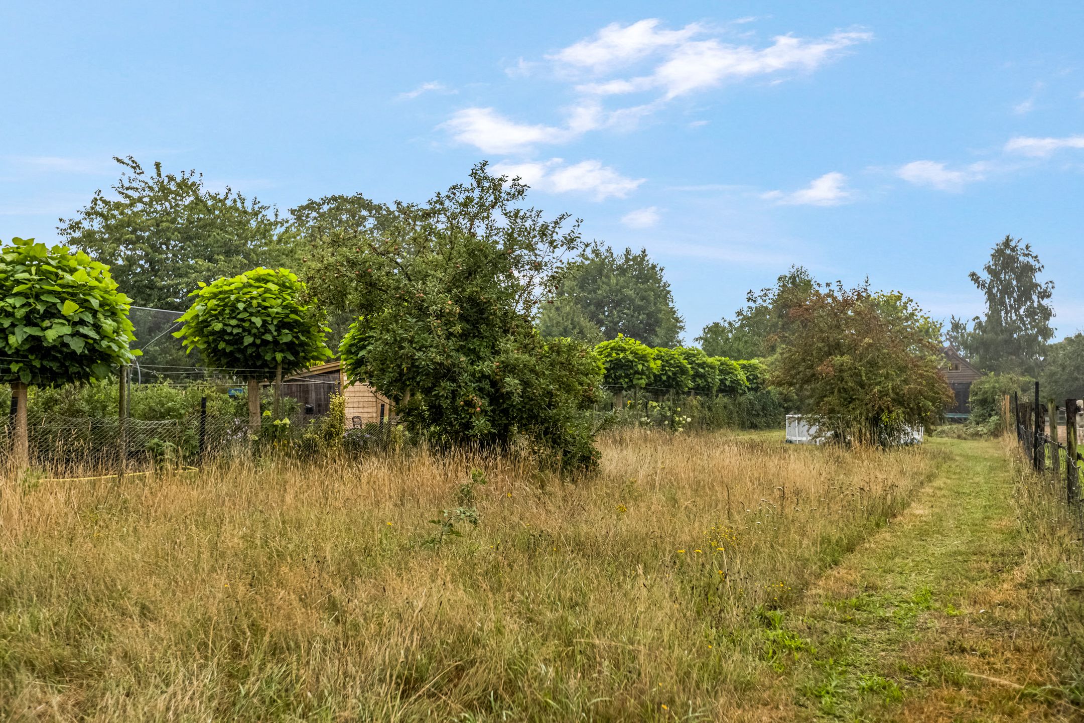 Foto 3 van Franseweg 106