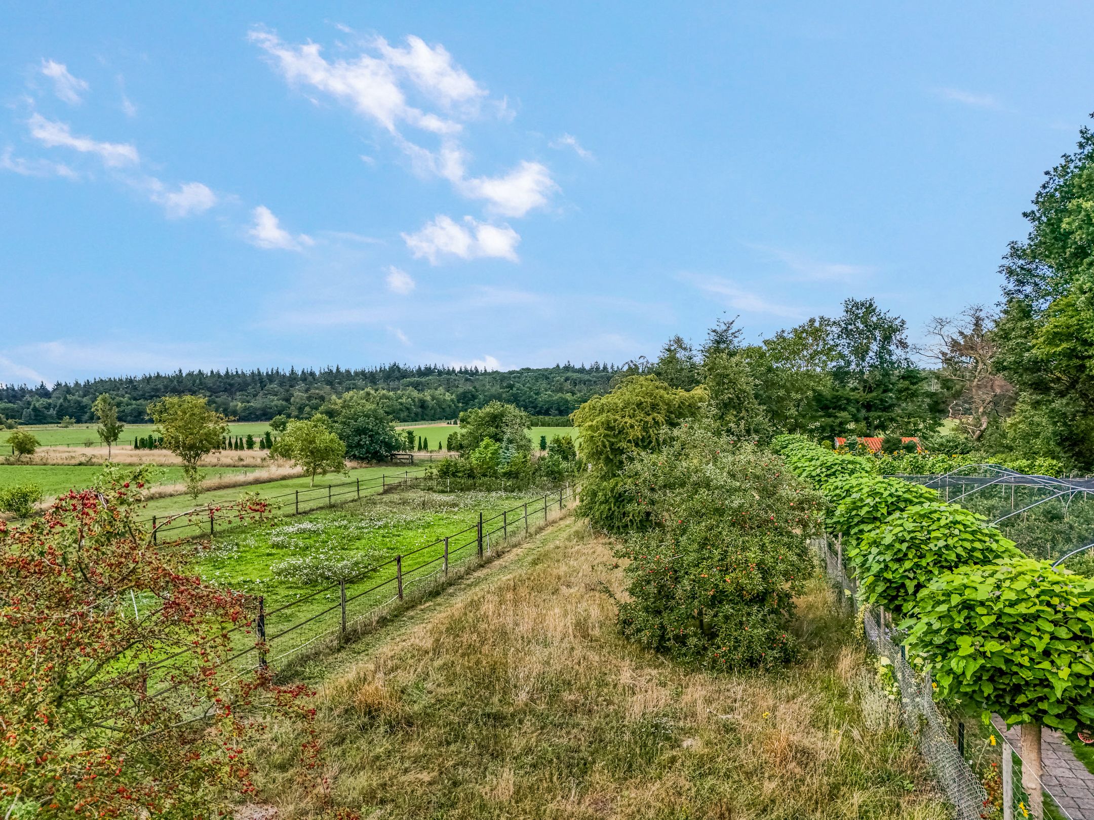 Foto 48 van Franseweg 106