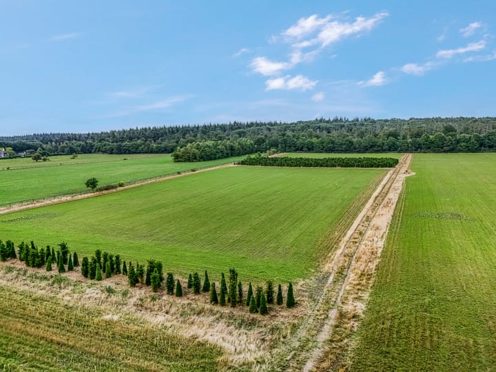 Foto 63 van Franseweg 106