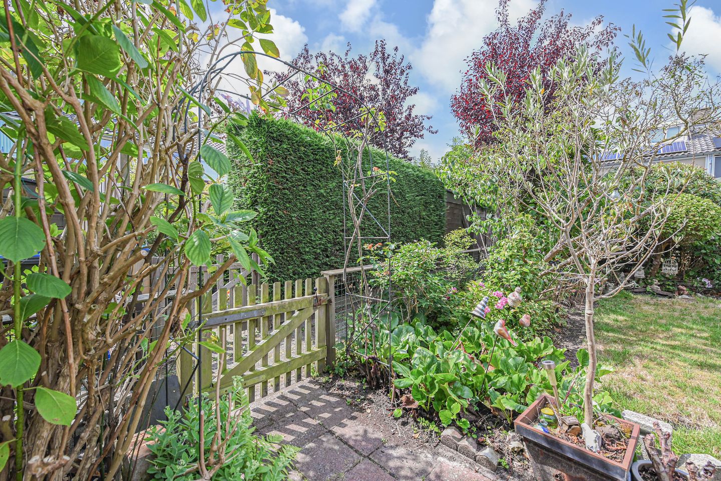 Foto 19 van Jacob van der Wielelaan 30