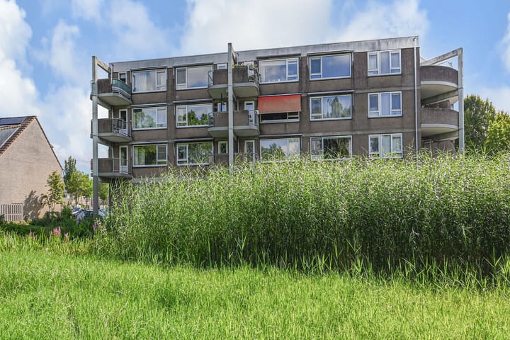 Foto 5 van Driewegplein 48