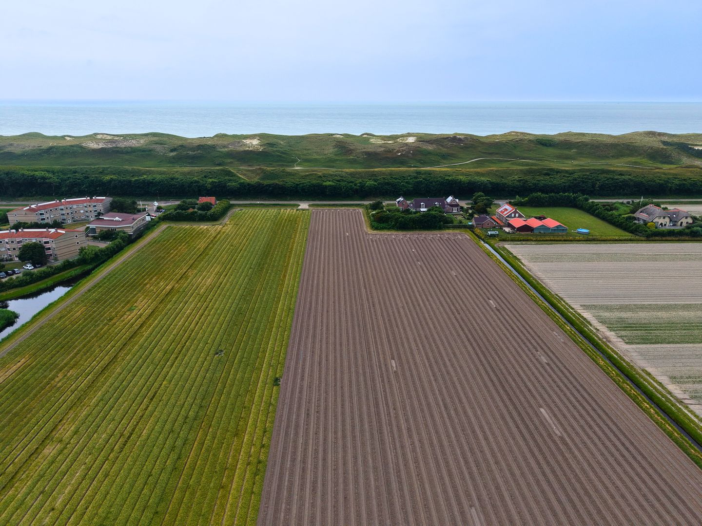 Bekijk foto 3 van Zanddijk