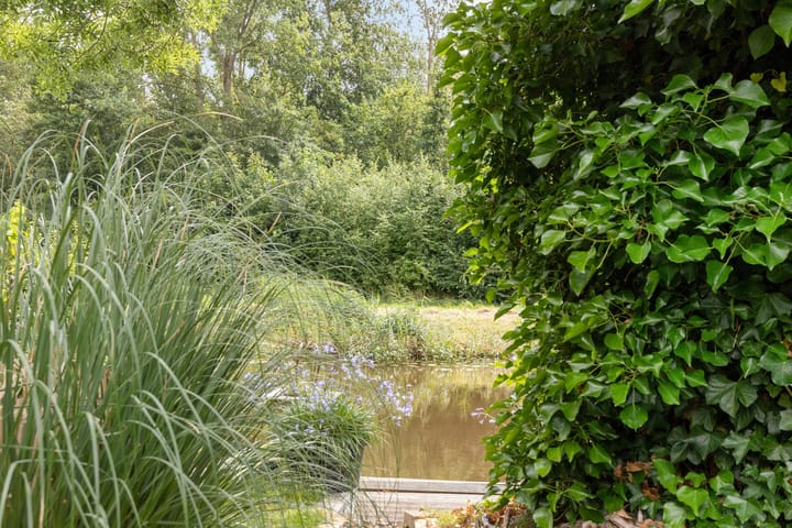 Foto 48 van Elzenstraat 5