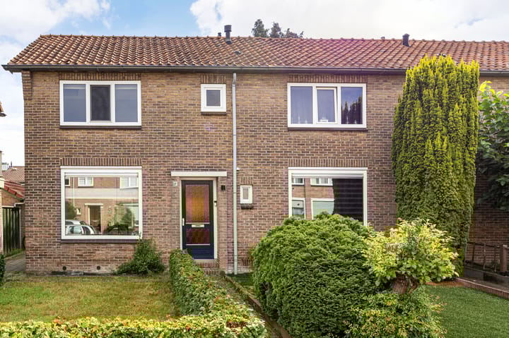 undefined main image